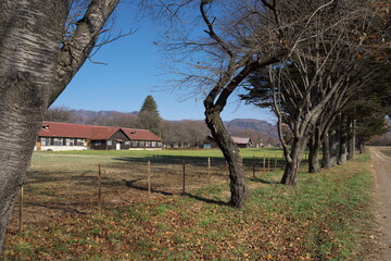 秋の晴れた日の美しい牧場の風景