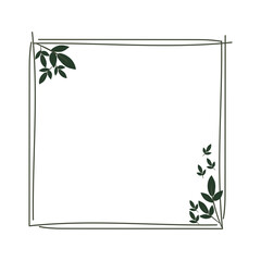 square laurel wreath