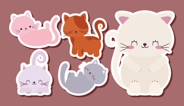 five cute cats