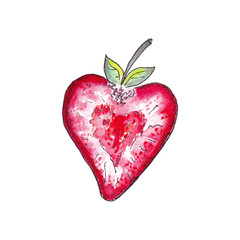 cut red strawberry with leaf and veins