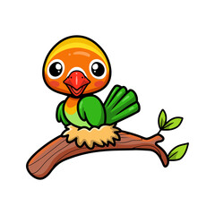 Cute little parrot cartoon on tree branch