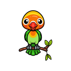 Cute little parrot cartoon on tree branch