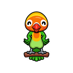 Cute little parrot cartoon on tree branch