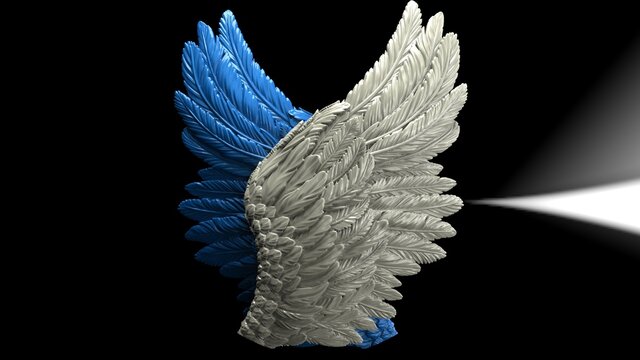 Overlapping white-blue wings under black-white lighting background. Concept image of free activity, decision without regret and strategic action. 3D CG. 3D illustration.