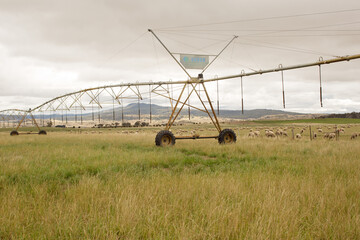 Large agricultural irrigation system across a paddock