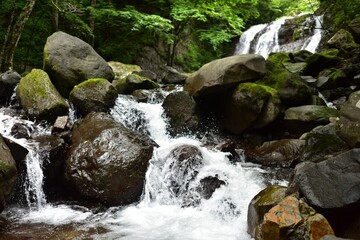 trekking around waterfall in summer