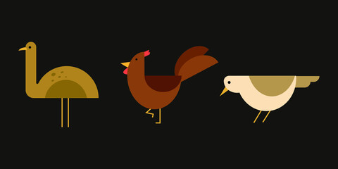 set of bird cartoon illustrations in a flat design style. a collection of various birds in brown colors to decorate a minimalist design theme. ostrich, chicken, and sparrow.