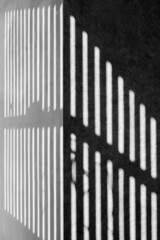 Natural wood slats wall or lath line arrange patter. Geometric black and white composition. The plane of the plaster wall with a structural graphic shadow falling from Natural wood slats wall 