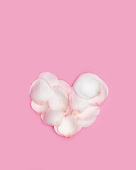 Tender heart made of rose petals on pink background. Heart form from white flower petals. Minimal Valentines card for February 14th. Festive valentine day concept. Flat lay, top view