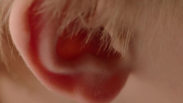 Close up of a blonde haired child's ear.