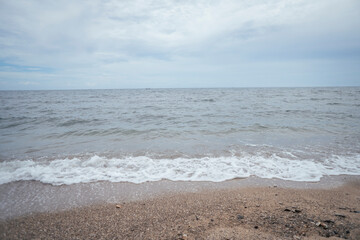 sea scape with sea wave, cloudy sky, mangrove forest and sandy beach when summer time. the photo perfect for holidays background, nature pamphlet and advertising brochure. 