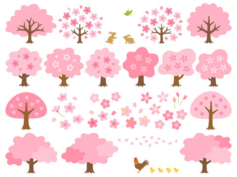 桜の木 Images – Browse 41,987 Stock Photos, Vectors, and Video