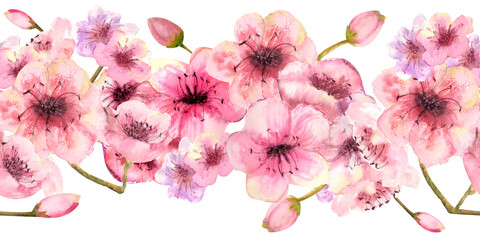 Seamless border with blossoming sakura branches on a white background. Watercolor illustration drawn by hand © Natika_art