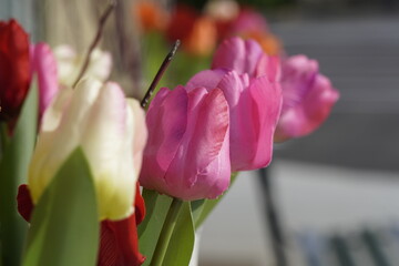 tulips on a table