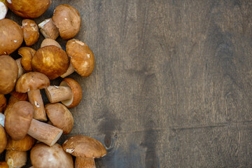 Porcini mushrooms lying on the dark wooden  background side on the left. Place for text