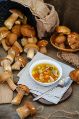 A plate of mushroom soup standing on a wooden table surrounded by porcini mushrooms