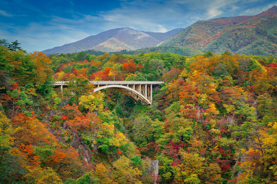 Ofukazawa Bridge spanning Naruko Gorge with Autumnal foliage from Narukokyo Resthouse close to the town of Naruko Onsen, Miyagi Prefecture, in Tohoku Region, Japan.