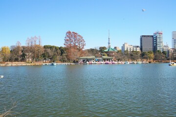 Obraz premium 不忍池