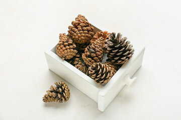 Box with pine cones on white background