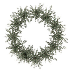 eucalyptus flower plant wreath frame 3d render isolated