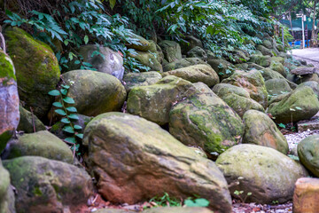 A closeup of a huge pile of rubble and vegetation in the park