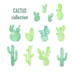 Watercolor set of cactus. Isolated on white background.