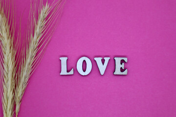 Valentine's Day concept. Wooden letters Love and dried ears of wheat on a pink background. Top view. Flat lay.