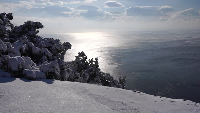 Snow covered rocky cliffs over sea. Winter landscape over the sea bay. Juniper tree under snow. Concept of winter holidays, travel and recreation. Cape Fiolent in Balaklava, Sevastopol, Crimea