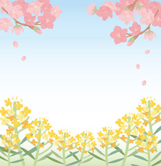Cherry blossoms_Rape blossoms_blue back
