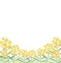 Obraz premium 菜の花の咲く風景イラスト