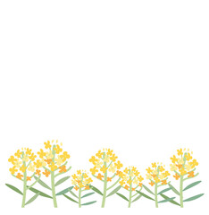 Obraz na płótnie Canvas 菜の花の咲く風景イラスト