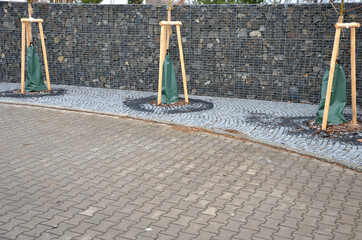 street alleys irrigated with the help of plastic bags from which water gradually drips to the...