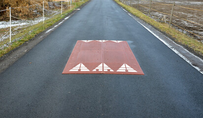 in the middle of the road leading to the residential area, the police and the traffic office...