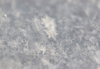 snow with snowflakes kk background