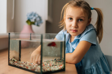 Pretty Caucasian little girl watching little goldfish in aquarium, tapping on glass, attracting attention, looking at camera. Portrait of cute preschool kid playing with gold fish at home table.