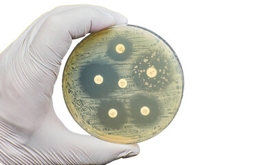 Antibiogram Antimicrobial susceptibility resistance bacteria diffusion test