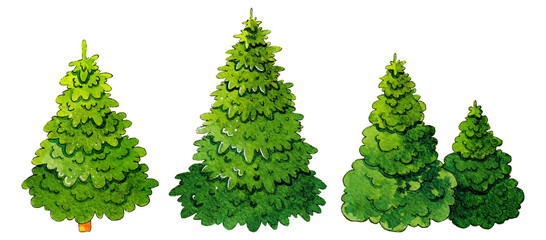 Fototapeta premium Christmas tree on a white background. Watercolor illustration.