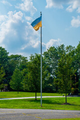 Fototapeta premium Ukrainian flag