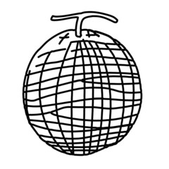 春のフルーツイラスト メロン 線画