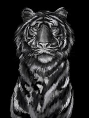 
black and white tiger in oil style