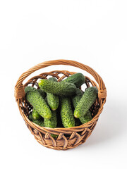 Fresh cucumbers in a wicker basket.