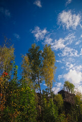 autumn forest in the Świętokrzyskie Mountains