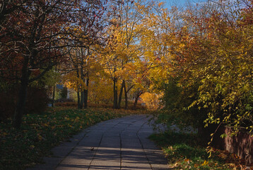 Naklejka premium autumn forest in the Świętokrzyskie Mountains