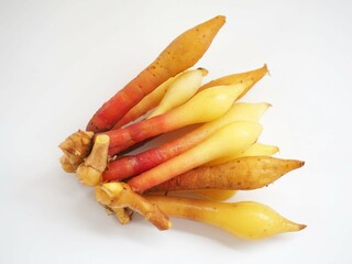 Kaempferia herbs healthy on white background. closeup photo, blurred.