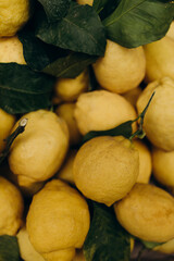 fresh whole lemons close-up. lemons with green leaves. fragrant yellow Italian lemons