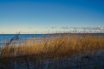 Boltenhagen Ostsee No People Natur
Outdoor

