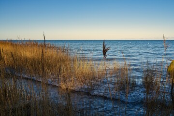 Boltenhagen Ostsee No People Natur
Outdoor

