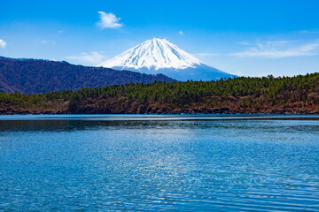 春の富士山　山梨県富士河口湖町西湖にて