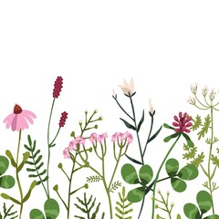 Floral border on square background. Botanical card with wild flowers and herbal plants. Backdrop with various delicate field and meadow wildflowers. Isolated colored flat vector illustration