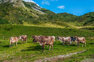 Fototapeta na wymiar Carnic Mountains. Ponds, huts and breathtaking views.